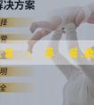 代孕違法嗎:備孕祕籍，教你好孕!