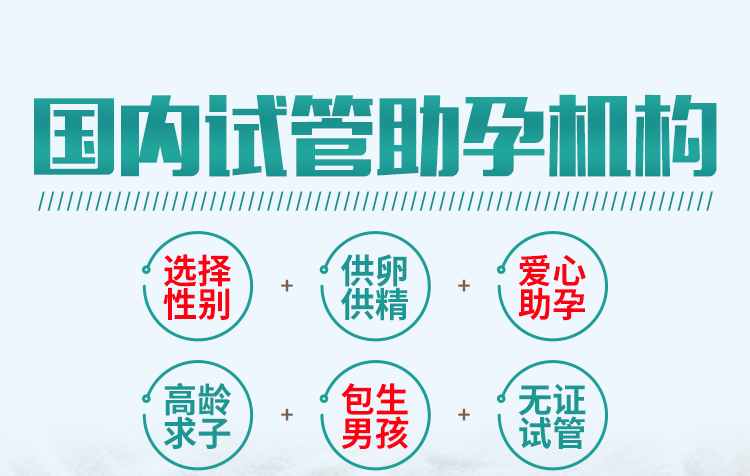 法国代孕